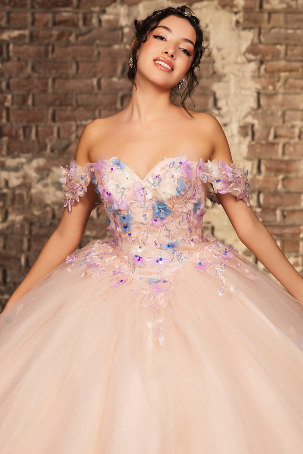 Off Shoulder 3D Floral Applique Quinceanera Ball Gown